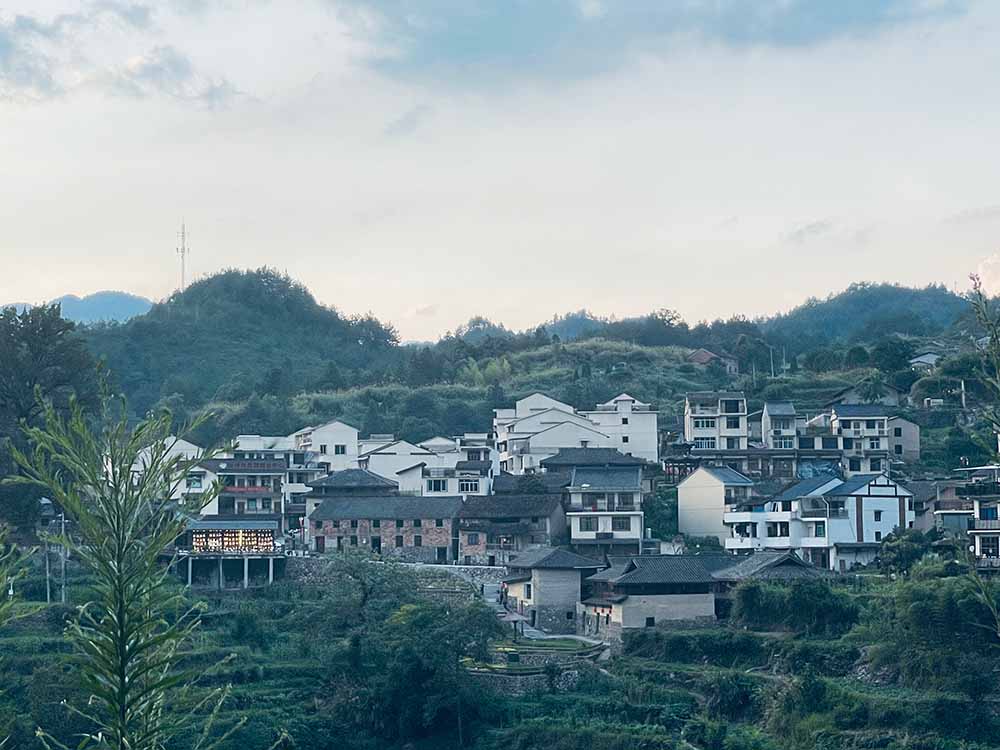 暑期社會(huì)實(shí)踐·大學(xué)生助力鄉(xiāng)村米酒，把酒賣到“云上”去