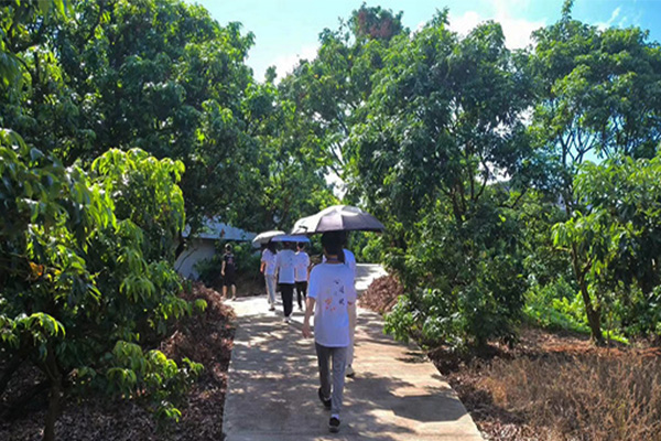 “心跡之旅”社會實踐隊在茂名高州根子鎮(zhèn)開展荔枝文化走訪活動