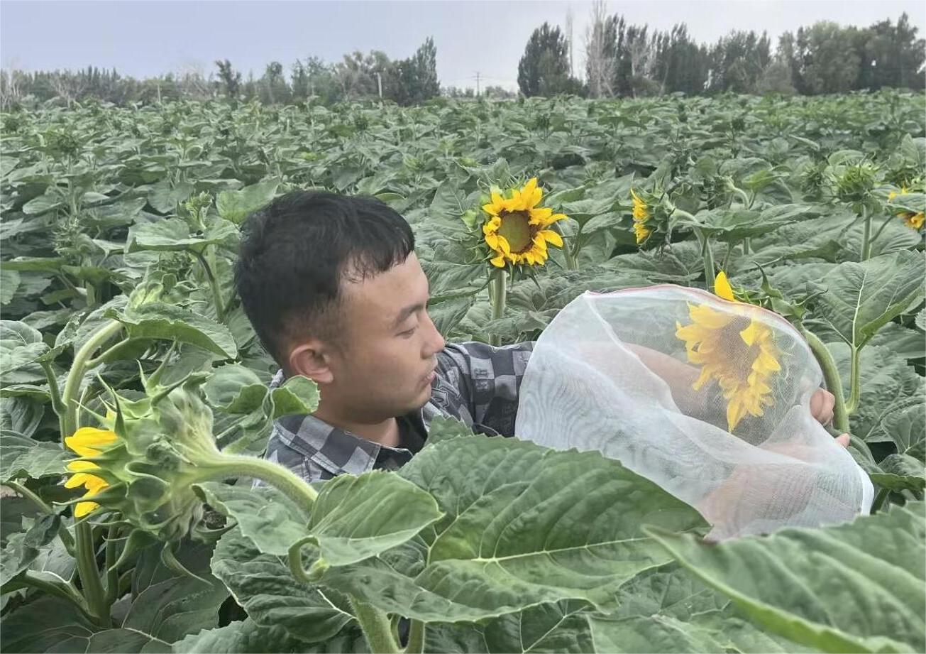 胡楊校友訪談—星光不負(fù)趕路人，時(shí)光厚愛追夢人