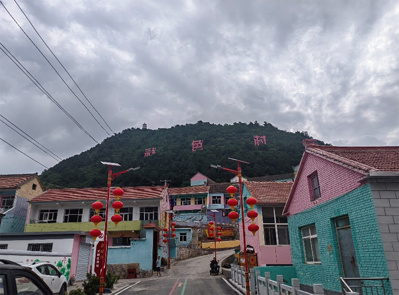 七彩村莊煥發(fā)新生機，連翹產(chǎn)業(yè)助力鄉(xiāng)村振興