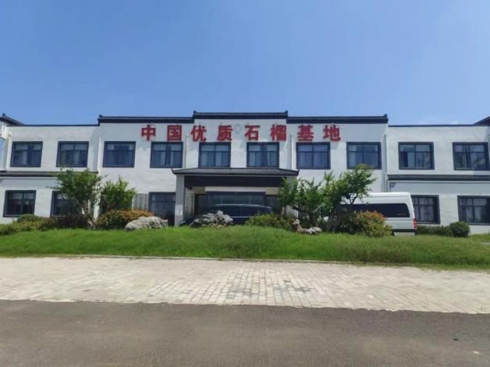 安理學(xué)子赴懷遠(yuǎn)石榴園，奏響“鄉(xiāng)村振興”進(jìn)行曲