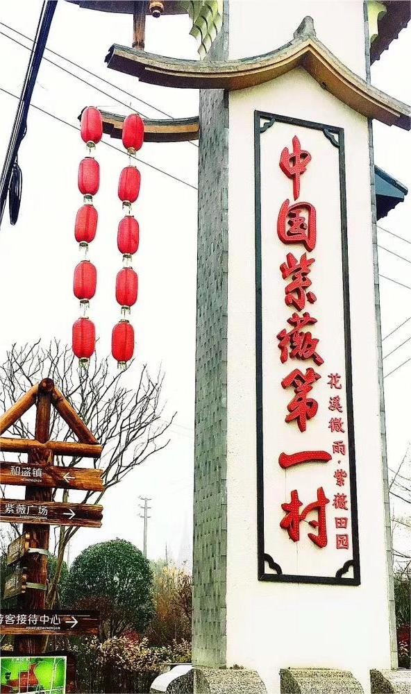 “新路”、“興路”、“心路”——以陳家渡村為例探討