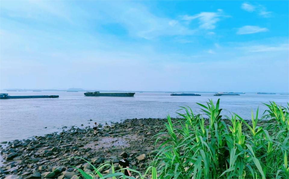 探廣陵運河， 護綠水之美