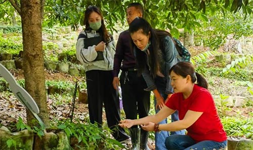 科技特派員師生團到三葉青種植基地調(diào)研