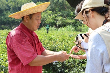 佛山科學(xué)技術(shù)學(xué)院學(xué)子三下鄉(xiāng)：走進連南瑤縣，助力鄉(xiāng)村振興