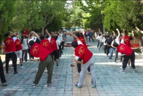 “夏花盛開同筑夢，胡楊相傳創(chuàng)團結(jié)”團隊福利院社會實踐活動