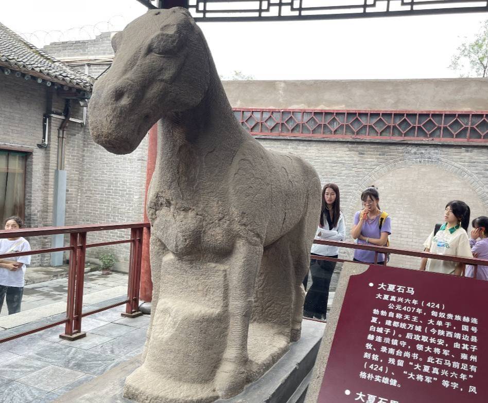 西農(nóng)學(xué)子三下鄉(xiāng)|尋脈中華傳統(tǒng)，助力文化傳承