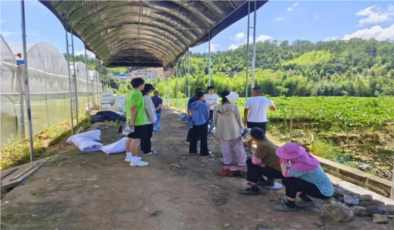情系百香果，共筑夢(mèng)想園