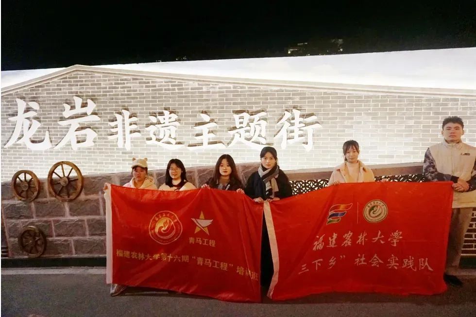 龍巖非遺文化展春節(jié)啟幕，青年學(xué)子助力文化傳承