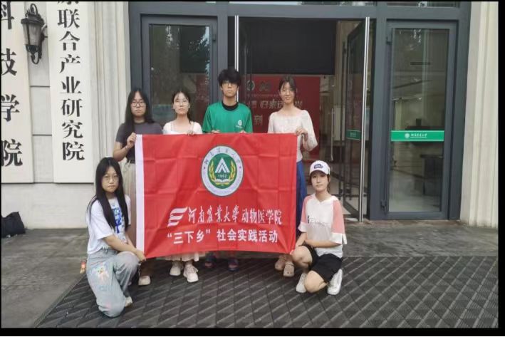 晨曦敬老共頌黨，青春志愿傳敬意