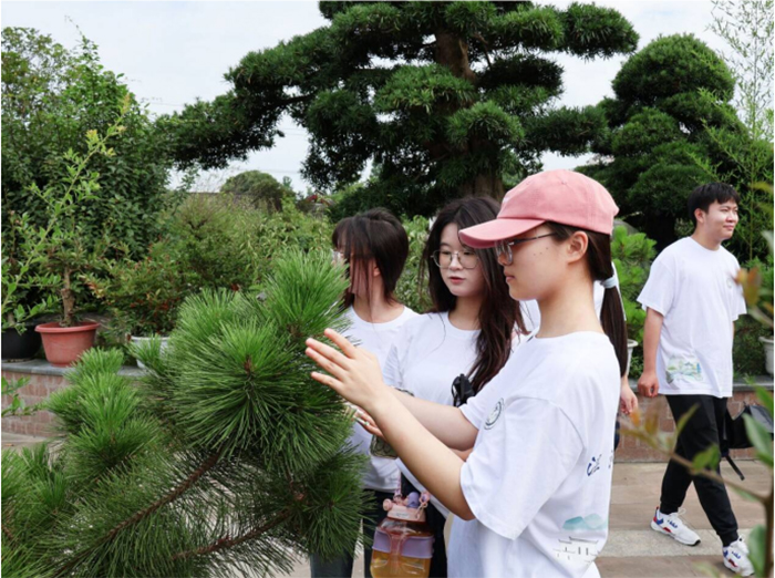 聚焦成都世園會(huì)溫江分會(huì)場(chǎng)，賦能非遺盆景產(chǎn)業(yè)發(fā)展