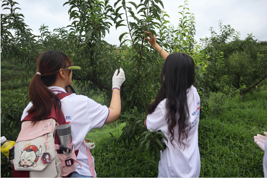 西南大學(xué)學(xué)子三下鄉(xiāng)：厚植愛農(nóng)情懷，勇?lián)鷷r代責(zé)任