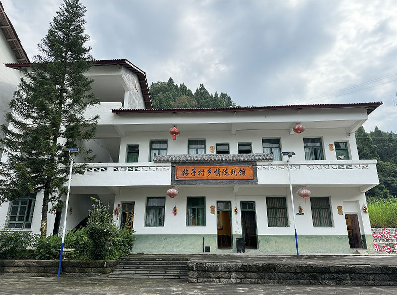 苗鄉(xiāng)古韻潤心田，紅色黨建譜華章——重慶師范大學(xué)文學(xué)院“弘文·苗韻”社會(huì)實(shí)踐紀(jì)實(shí)