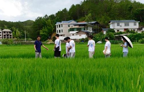 集美大學(xué)“傾潭振汀”實(shí)踐隊(duì)赴長汀紅色舊址群參觀學(xué)習(xí)、南坑村實(shí)地調(diào)研