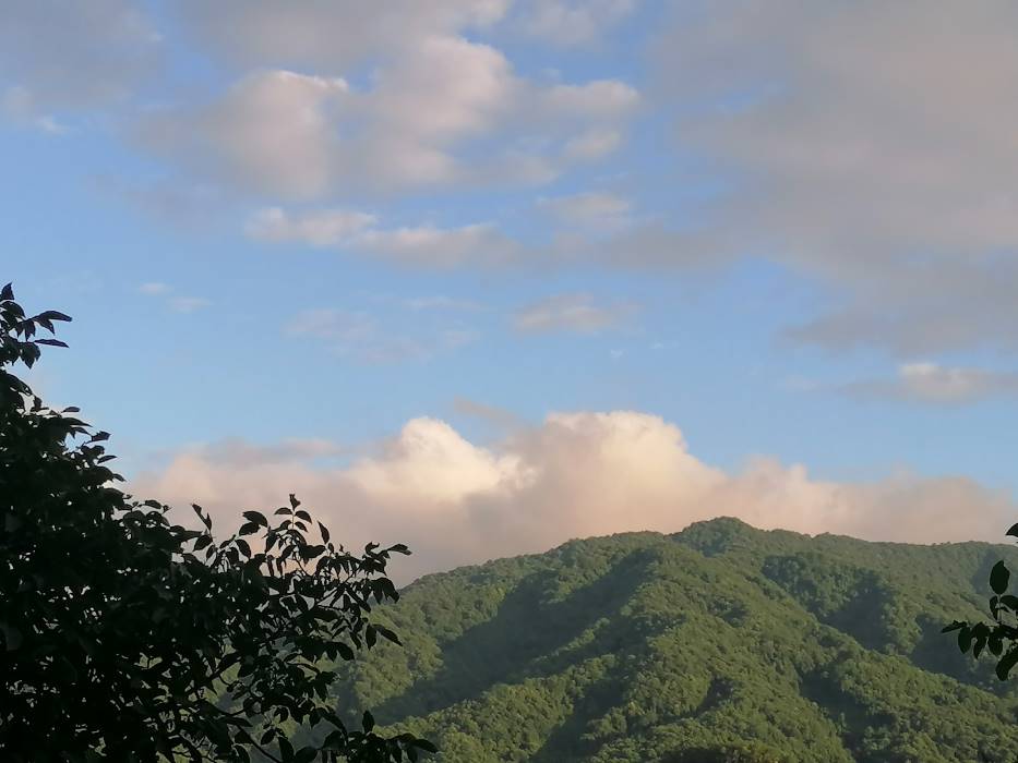 穿梭千年，文物“活”在當下 ——蘇州大學“哲學+”實踐團走進天水市仙人崖石窟