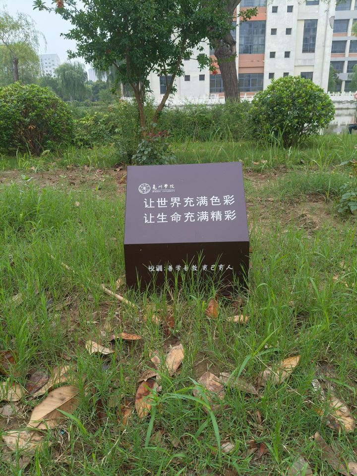 巢湖學(xué)院學(xué)子三下鄉(xiāng)實踐感悟：走不通的路，就用拳頭來打開