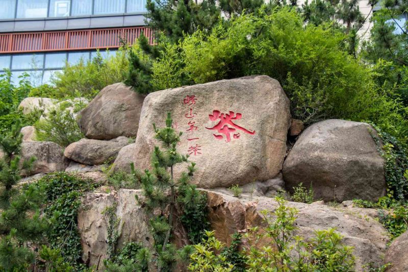 從低碳視角出發(fā)，探討鄉(xiāng)村綠色轉(zhuǎn)型之路-致遠(yuǎn)實(shí)踐隊(duì)心得體會(huì)