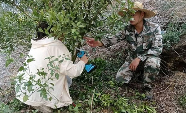 做好柑橘大文章，走好興業(yè)富民路