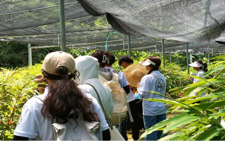 青年腳踏借鑒路，陽春砂仁香滿懷