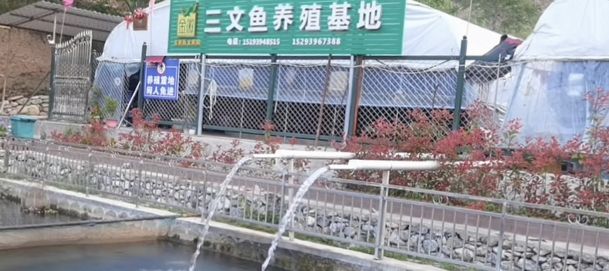 塑造甘南“特色品牌”，擴寬群眾增收大道。