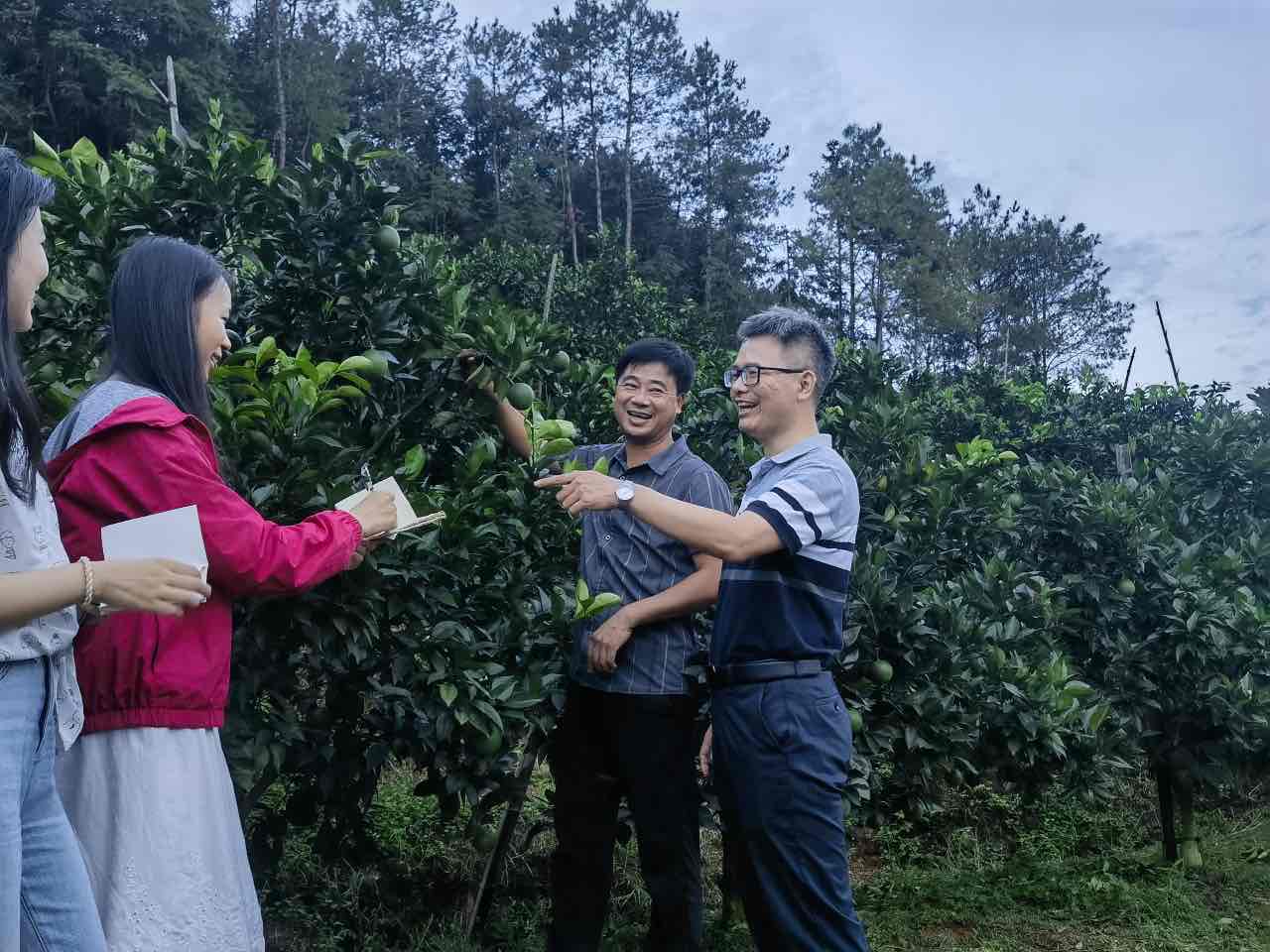 扶貧振興繪“南”圖，詩(shī)和遠(yuǎn)方伴“橙”香